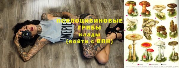 mdpv Алзамай