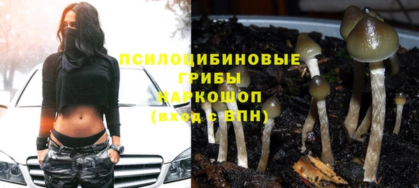 спиды Алексин