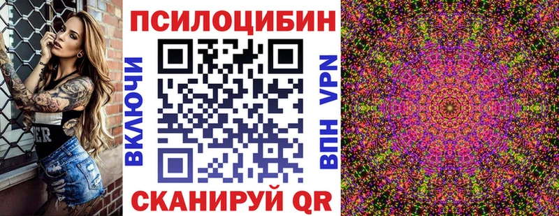 Галлюциногенные грибы Psilocybe  цены наркотик  Богучар 